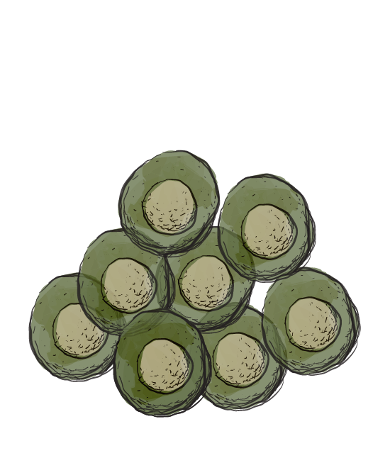Super Adaptogen 300 84 cancer stadium 3.png?v=1.0