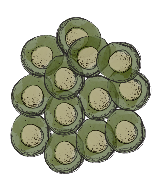 Super Adaptogen 300 133 cancer stadium 4.png?v=1.0